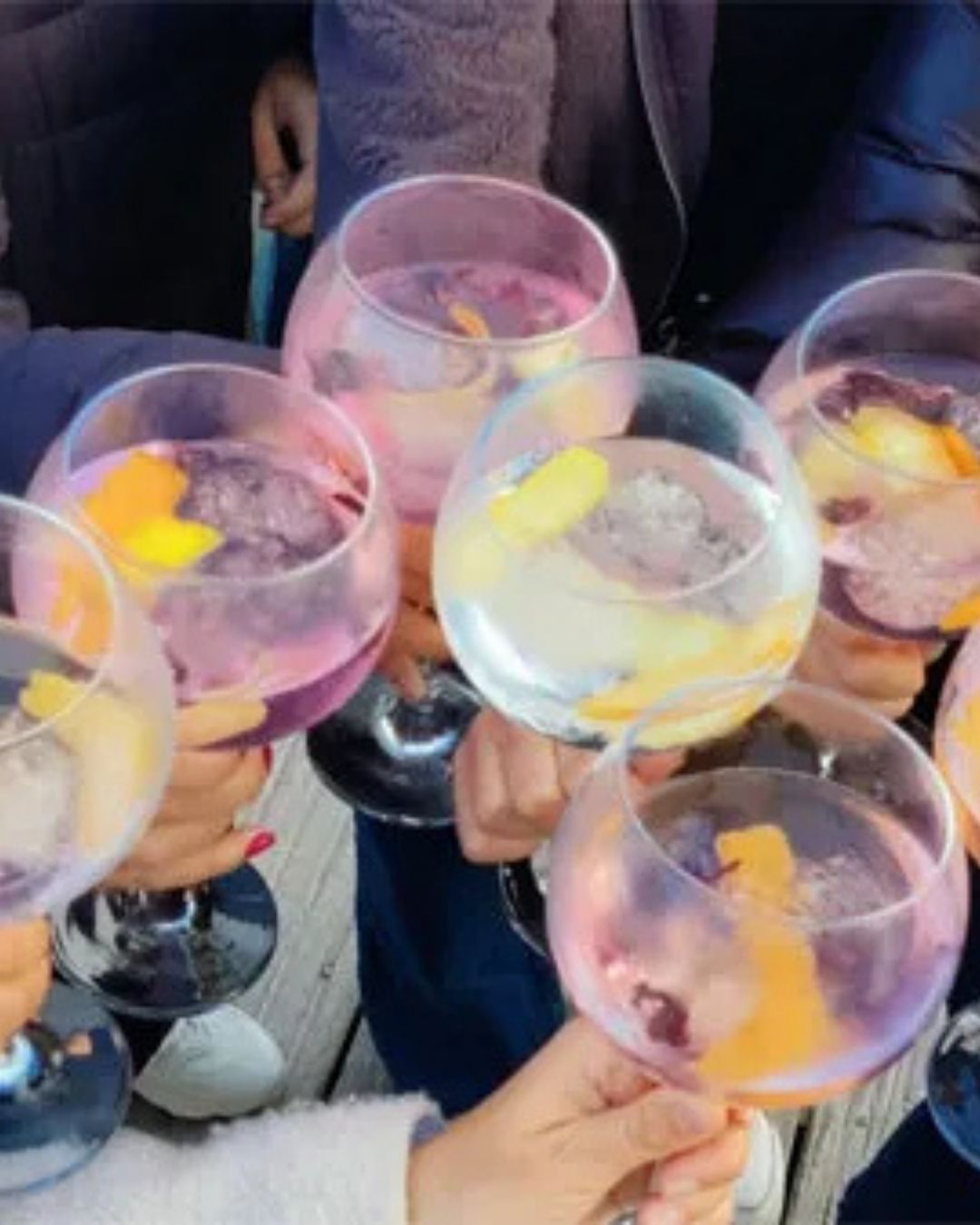 Brindis cata gin-tonics despedida